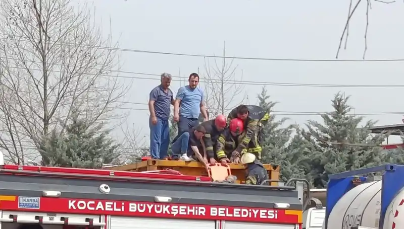 Tehlikeli Madde Taşıyan TIR, Tankın İçine Düştü: Şok Edici Olay!