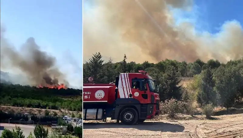 Gebze'de Orman Yangını: Alevler 50 Hektarlık Alanı Kül Etti