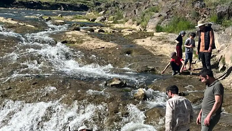 İnci Kefali Göçü: Doğa Harikası Gösterisi Turistleri Büyülüyor