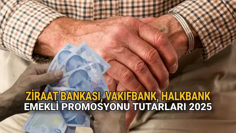 Emekliler İçin Kamu Bankaları 2025 Promosyonları: Ziraat, Vakıfbank ve Halkbank'tan Son Gelişmeler