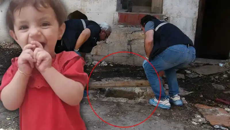 Kuyuda Cesedi Bulunan Aric'in Gizemli Ölümü: Katil Kim?