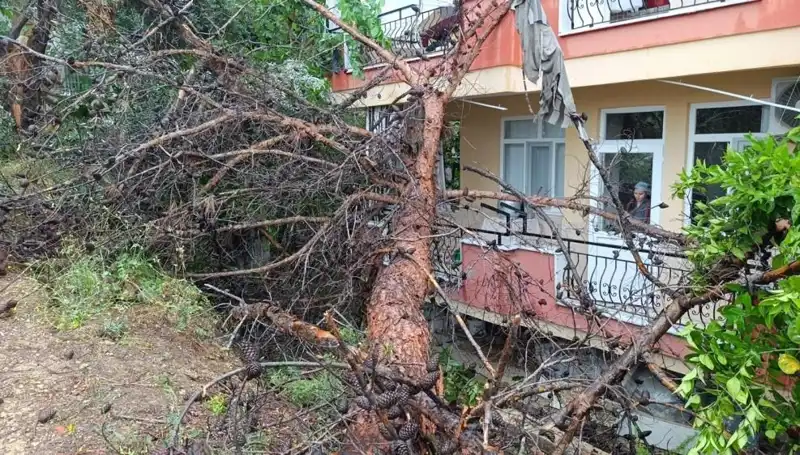 Yağmurun Kurbanı Oldu: Bina Devrildi, Şaşkınlık Yarattı