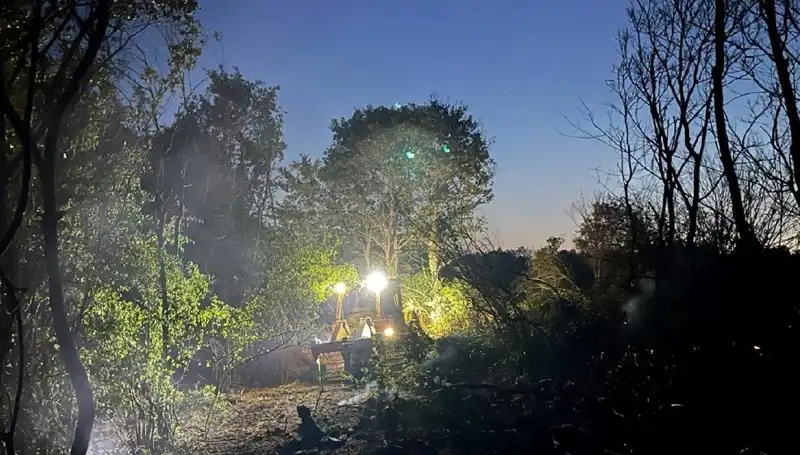 Edirne'nin Orman Yangını Sonunda Kontrol Altına Alındı