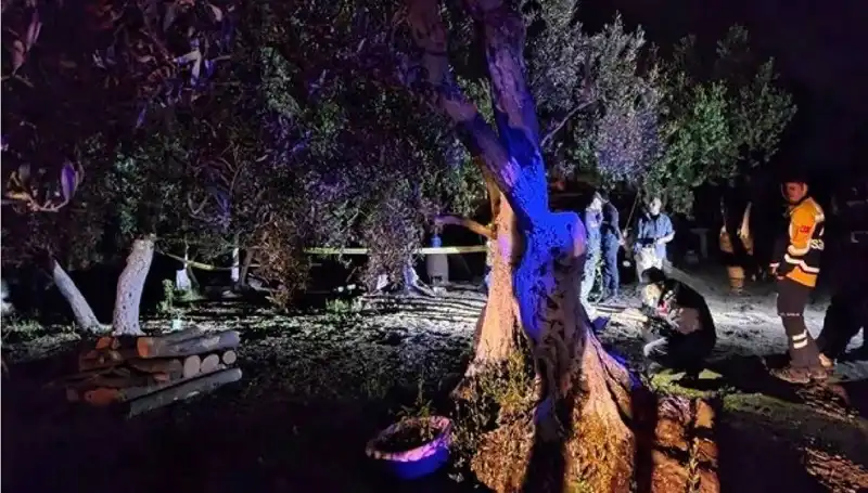 Çiftlikteki Korkunç Olayda İlk Tutuklama Gerçekleşti!