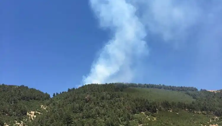 Ahır Dağı'nın Zirvesinde Yangın: Do nature's serenity or fires of chaos?