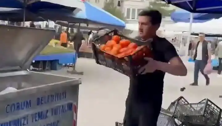 Domatesleri Çöpe Dökünce Pazarcıya Yazıklar Olsun: Rekor Ceza Geldi!