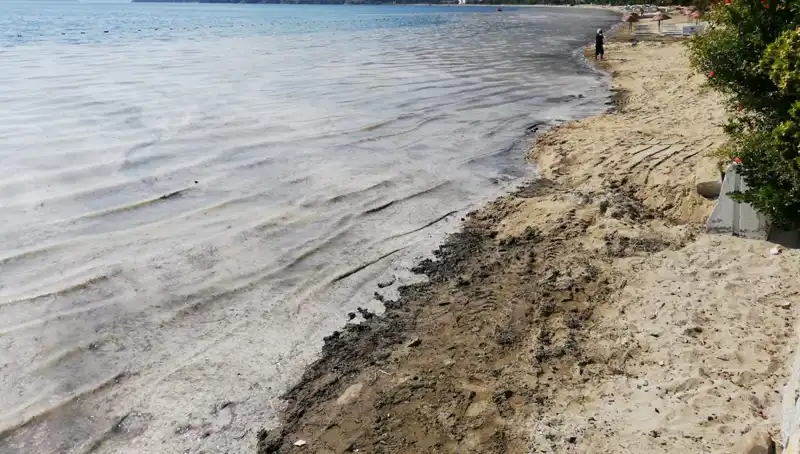 Müsilajla Mücadelede Acil Önlem: 268 İşletme Faaliyete Ara Verdi