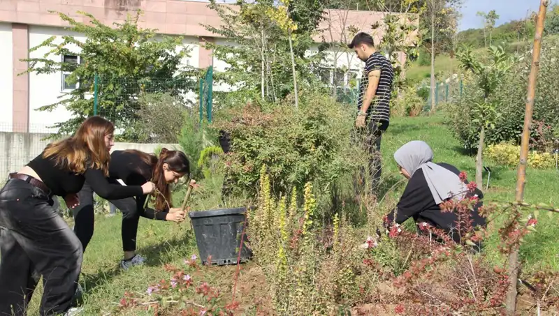 Düzce'nin İhtişamı: Dünyaya Açılan Bir Başarı Hikayesi