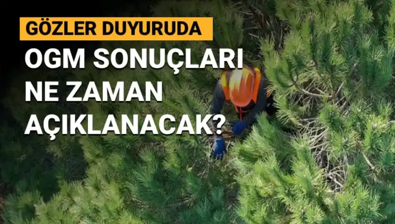 OGM Personel Alımı Duyurusu: 3 Bin 477 Sözleşmeli Pozisyona Kimler Başvurabilecek?
