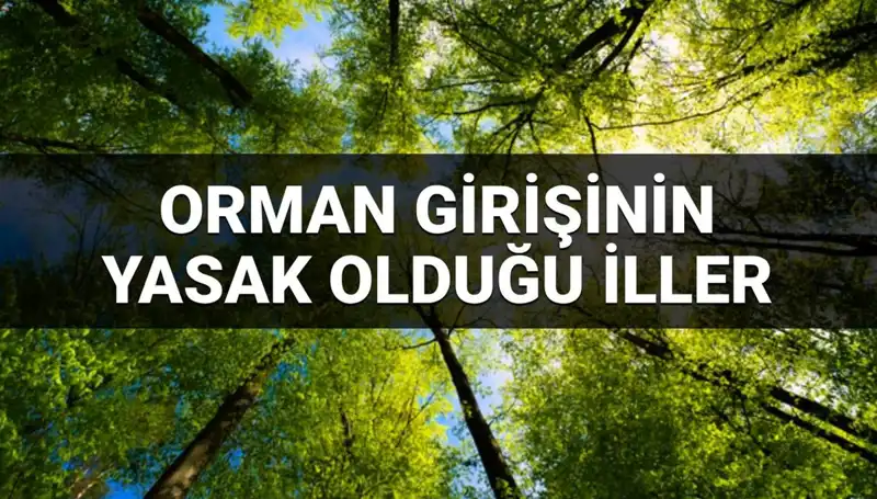 2025 Yılında Orman Girişine Yasaklanan İller: Hangi Bölgeler Etkilendi?