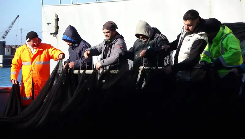 Denizlerde Hamsi Bitti: Balıkçılar Tekneyi Erken Yanaştırmak Zorunda Kaldı