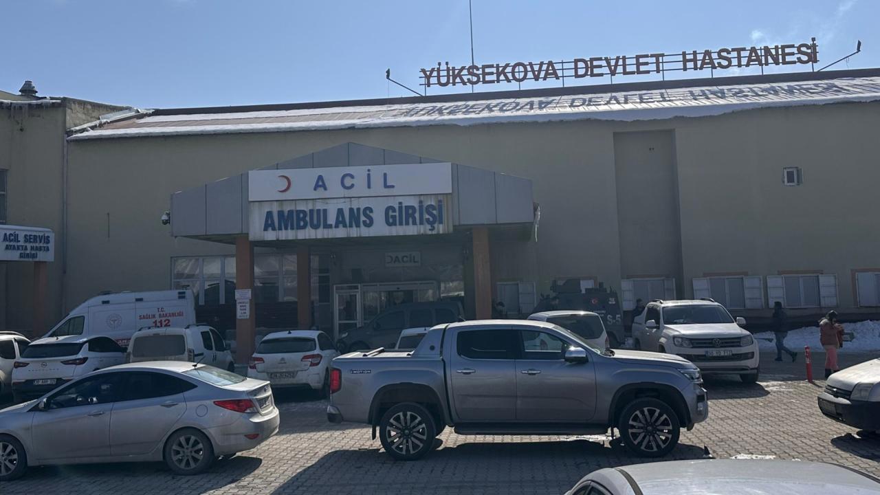 Başıboş Köpekler Tarafından Öldürülen Çocuk Olayında Müfettiş Görevlendirildi