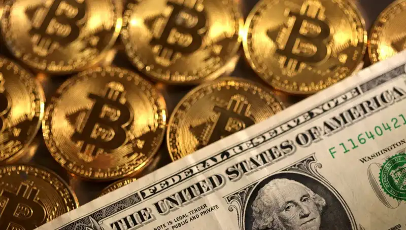Kripto Fonları Büyük Düşüş Yaşadı: 4,75 Milyar Dolar Kaybı Ne Anlama Geliyor?