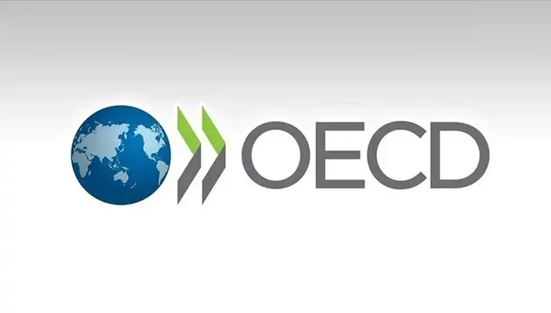 Türkiye'nin Ekonomik Büyüme Tahmini: OECD'den Çarpıcı Açıklama
