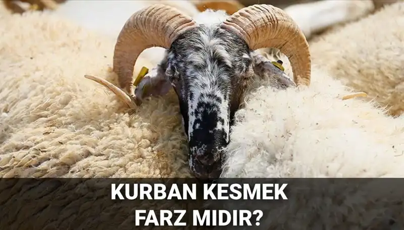 Kurban Kesimi: Farz Mıdır? Diyanet'in Değerlendirmeleri ve Şartları