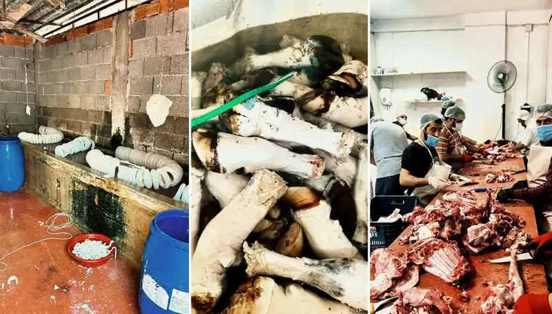 Adana'da Yüzlerce Kilo Paça Ele Geçirildi, Gıda Güvenliği Alarm Verdi!