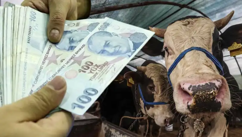 Haziran Ayı Emekli ve Memur Maaşları Bayram Öncesi Hesaplarda mı?