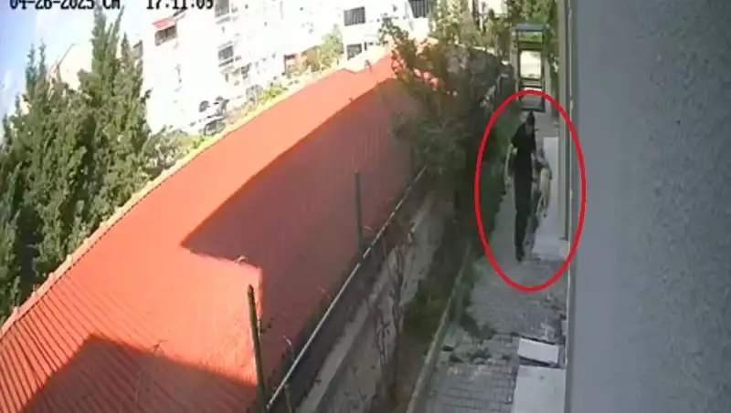 Hayvansever Doktorun Korkunç İtirafı: Evdeki Köpekleri Parçaladığı Ortaya Çıktı!