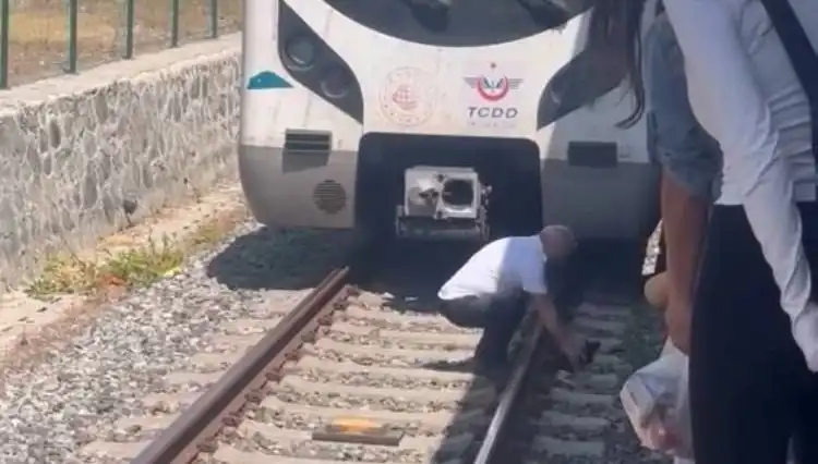 Marmaray Makinistinden Takdire Şayan Hareket: Raylardaki Kediye Dikkat!