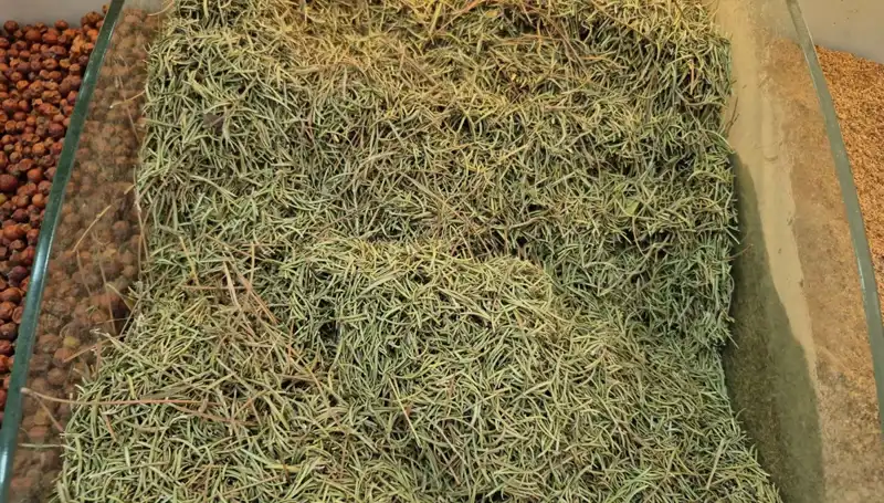 Yaz Aylarında Artan Tehlikeli Ürün Satışları: Can Kaybı Riski Yok Mudur?